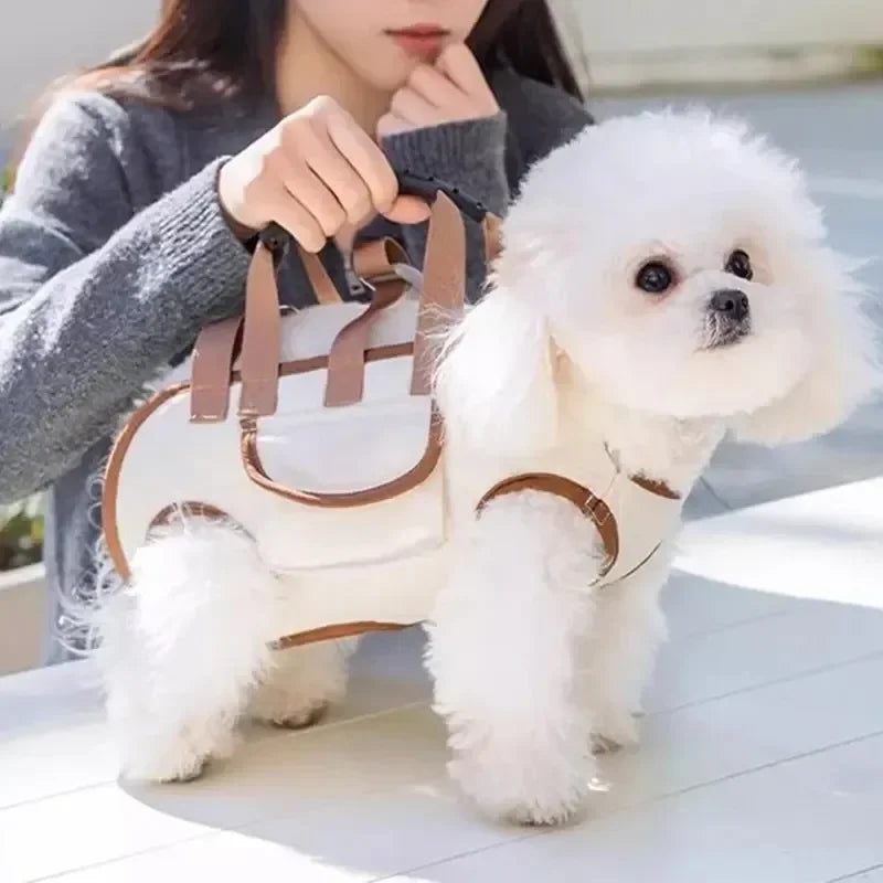 Arnés Portador 3 en 1 para Perros y Gatos Pequeños — Mochila Sling con Asa y Correa