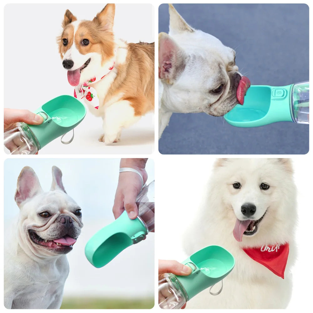 Botella Bebedero Portátil Antigoteo para Perros — 300/350/550ml para Paseos y Viajes